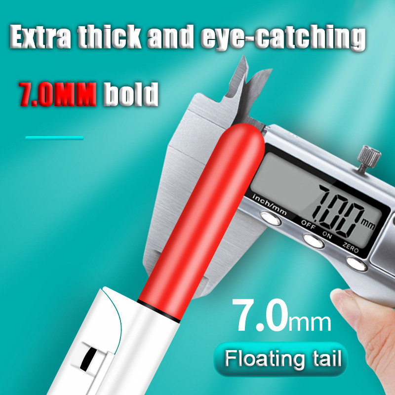 2 stuks LED-nachtlampje Elektr - Fish Finder Battery recensie en prijs